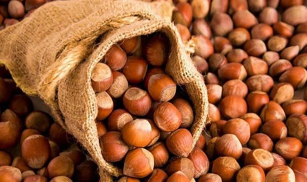 Fındık borsası tırmanışı sürdürüyor – Birlik Haber Ajansı