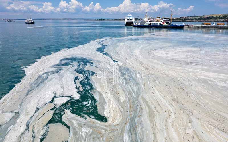Marmara Denizi’nde müsilajın devam etmesi bekleniyor! – Birlik Haber Ajansı