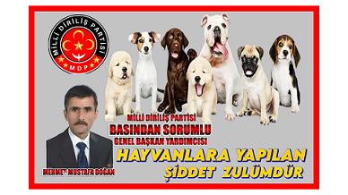 Hayvan Hakları ve Korunması