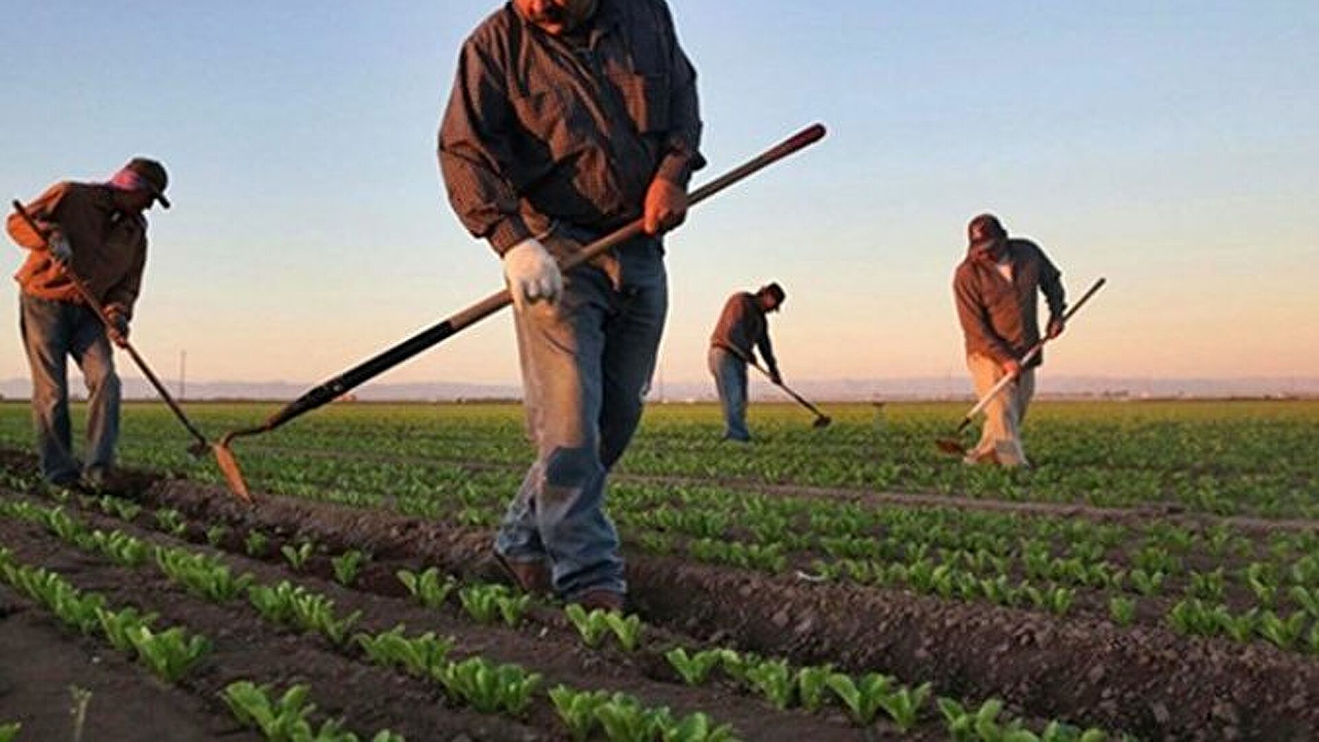 Tarım Bakanlığı’ndan çiftçilere destek ödemesi hesaplarda! – Birlik Haber Ajansı