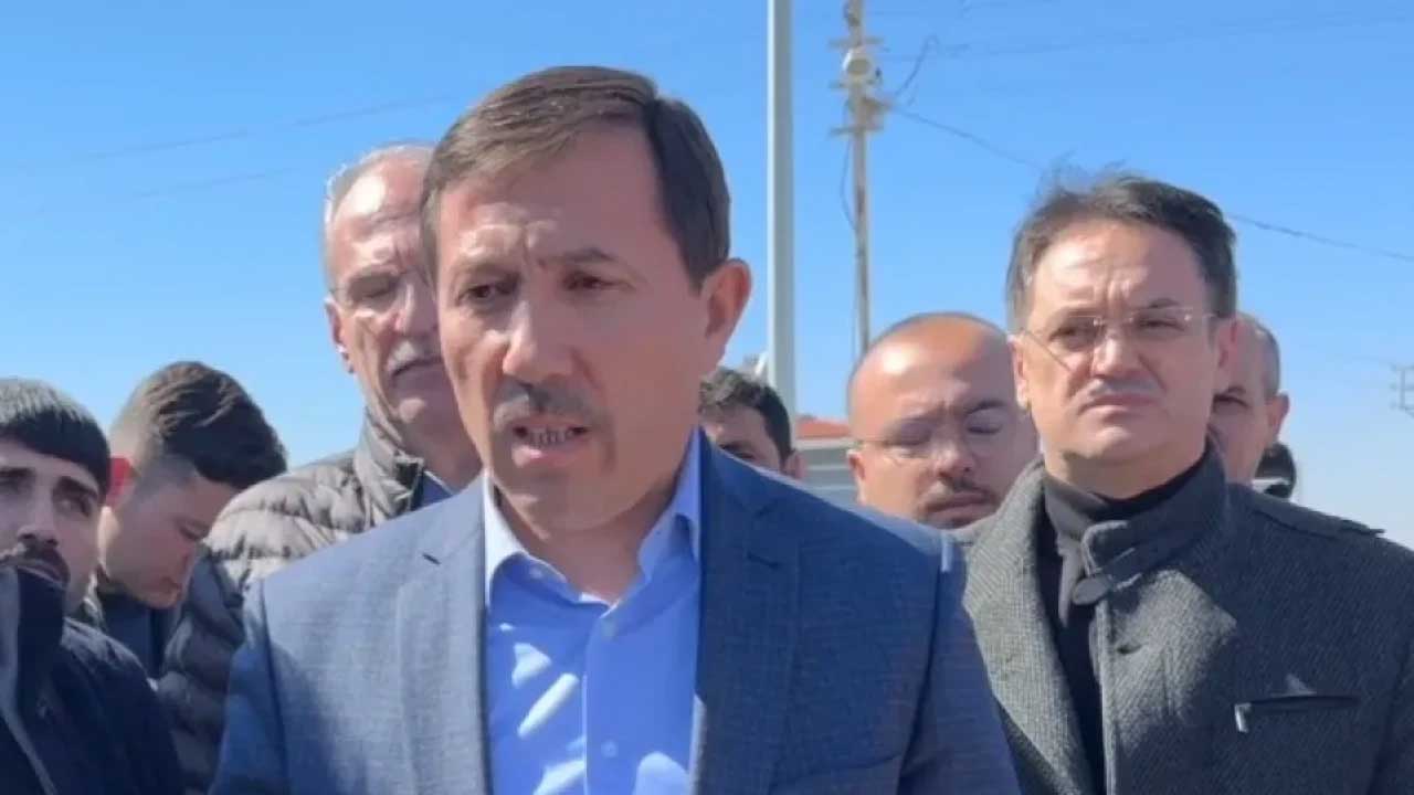 Konya’da 2 bin 500 sokak köpeği toplandı! – Birlik Haber Ajansı