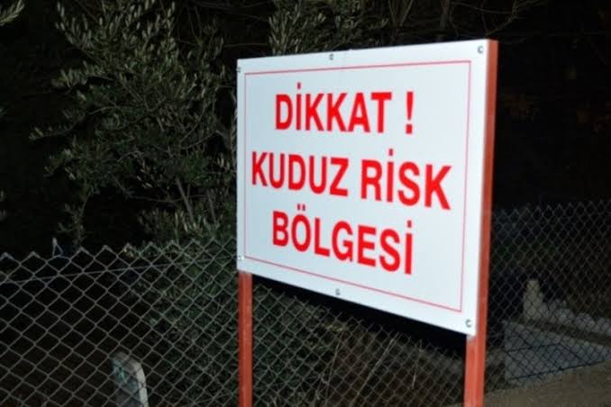 Adıyaman’da kuduz alarmı: Köseceli Beldesi karantinada! – Birlik Haber Ajansı