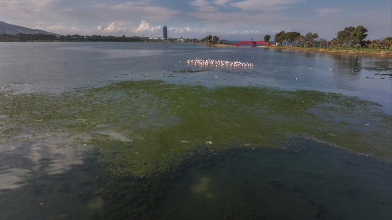 İzmir Büyükşehir Belediyesi’ne çevre cezası:1 milyon 858 bin lira – Birlik Haber Ajansı