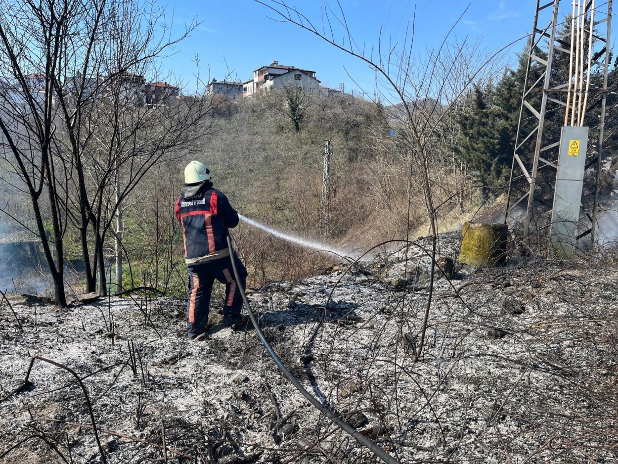 Ordu’da bahçe ve anız yangınları arttı – Birlik Haber Ajansı