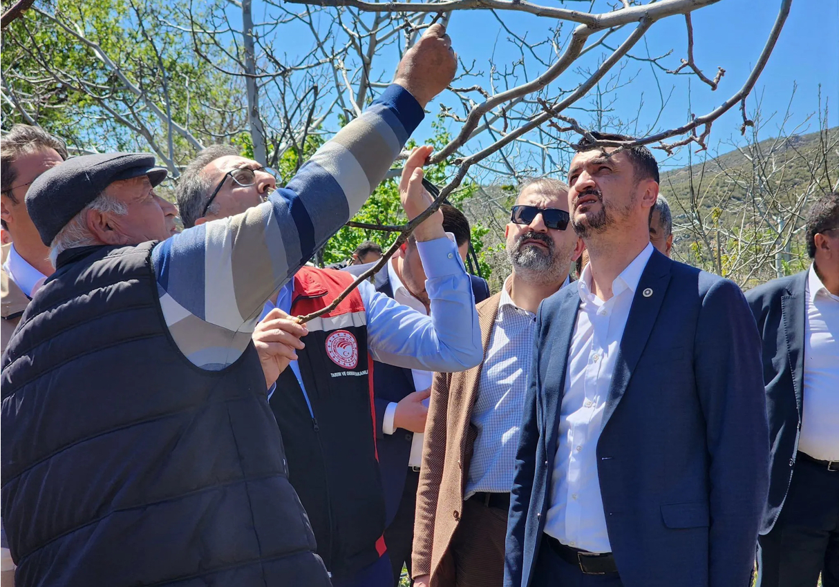 Bakan Yardımcısı Gümen, Burdur’da zirai dondan etkilenen üreticilerle bir araya geldi – Birlik Haber Ajansı