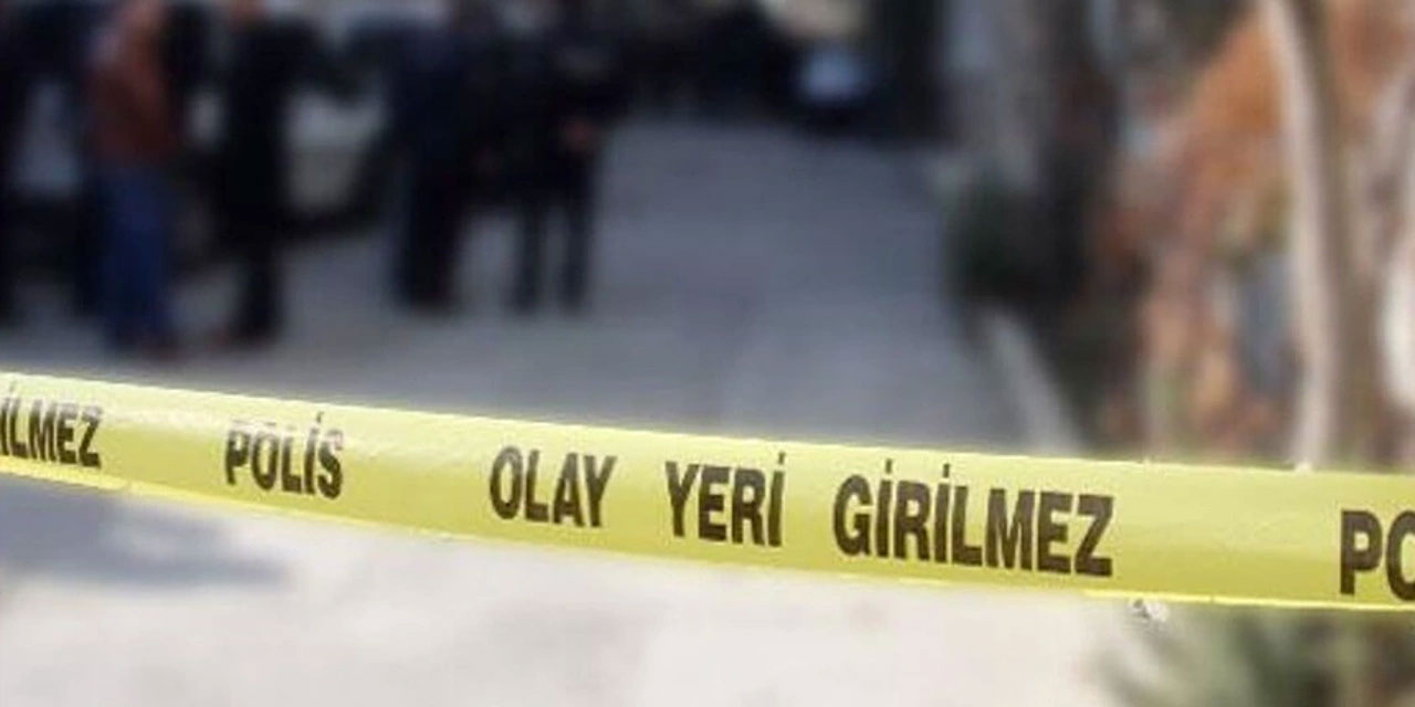 Ankara’da evindeki yavru köpekleri katleden doktor tutuklandı – Birlik Haber Ajansı