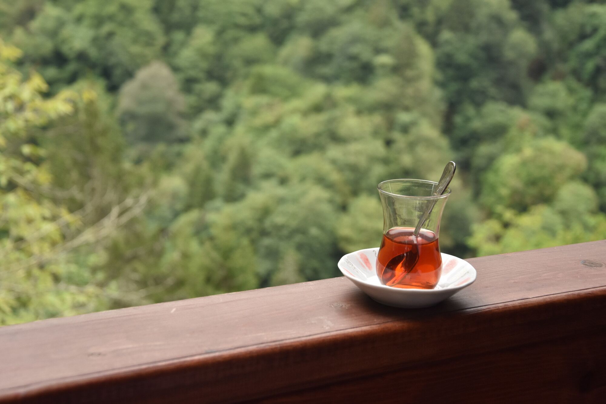 Rize’den 4 ayda 5,5 milyon dolarlık çay ihracatı – Birlik Haber Ajansı