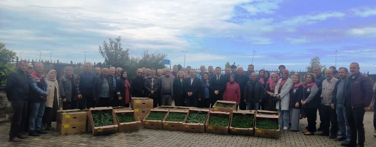 Trabzon’da fidan dağıtım etkinliği gerçekleştirildi – Birlik Haber Ajansı