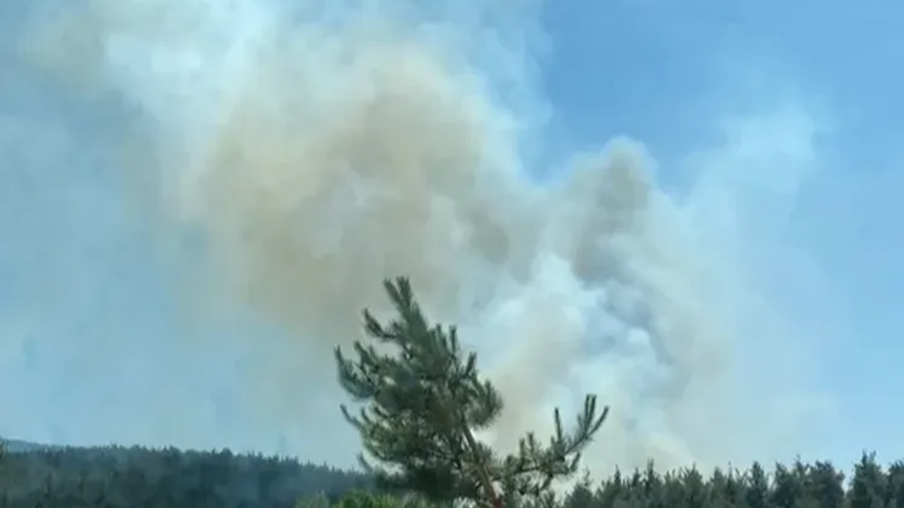 Köyceğiz’de orman yangınına müdahale sürüyor – Birlik Haber Ajansı
