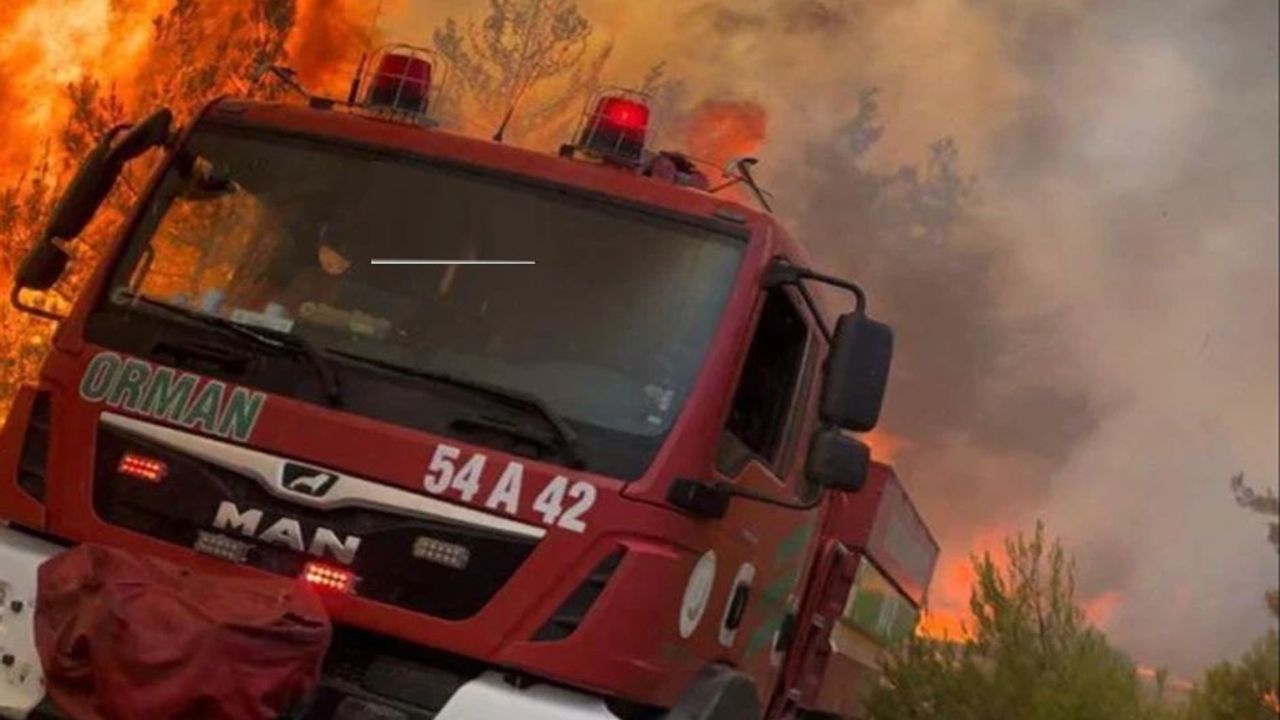 Ormanın Kahramanları’na yol verin – Birlik Haber Ajansı