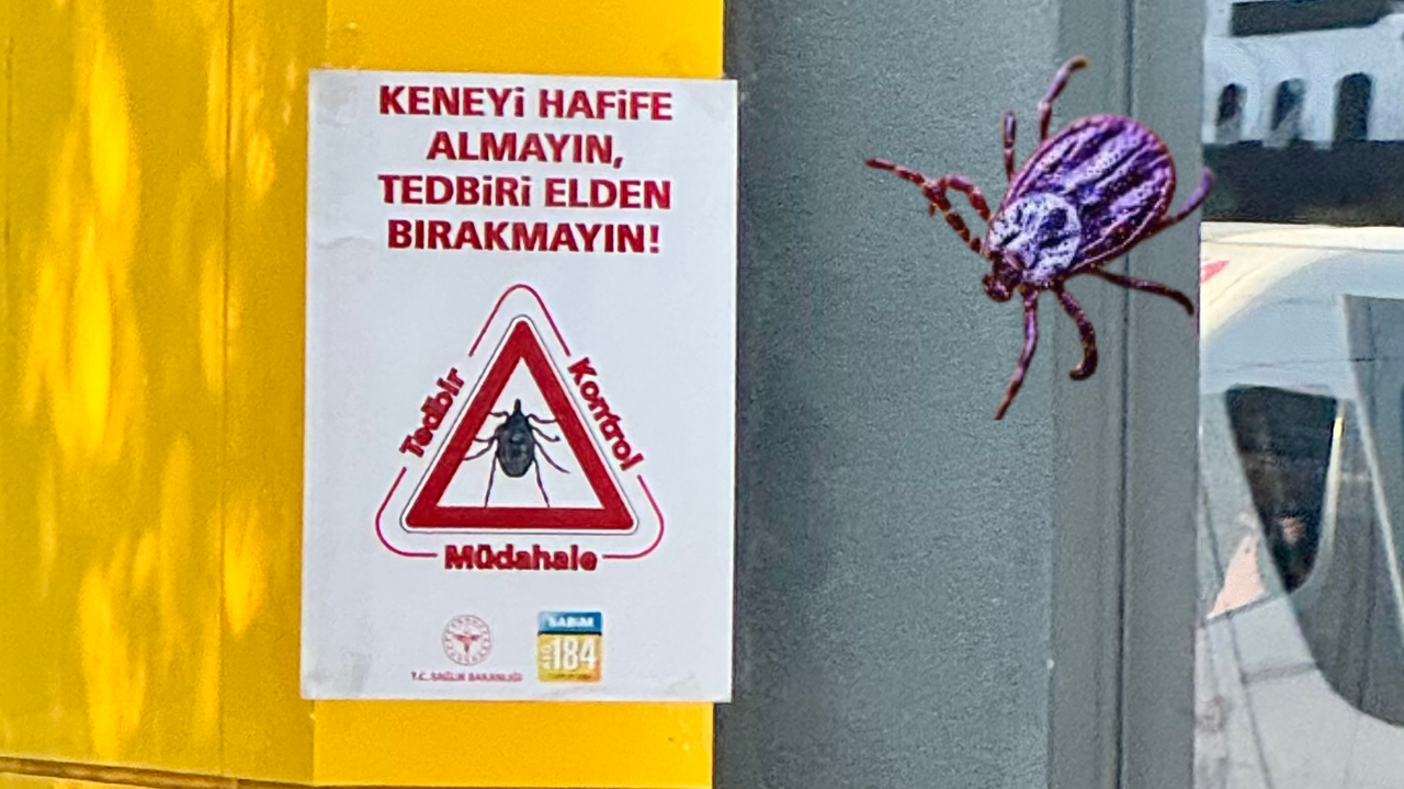 Sincan’da kene tedbirleri: Bakanlık uyarısı sokaklara taştı – Birlik Haber Ajansı