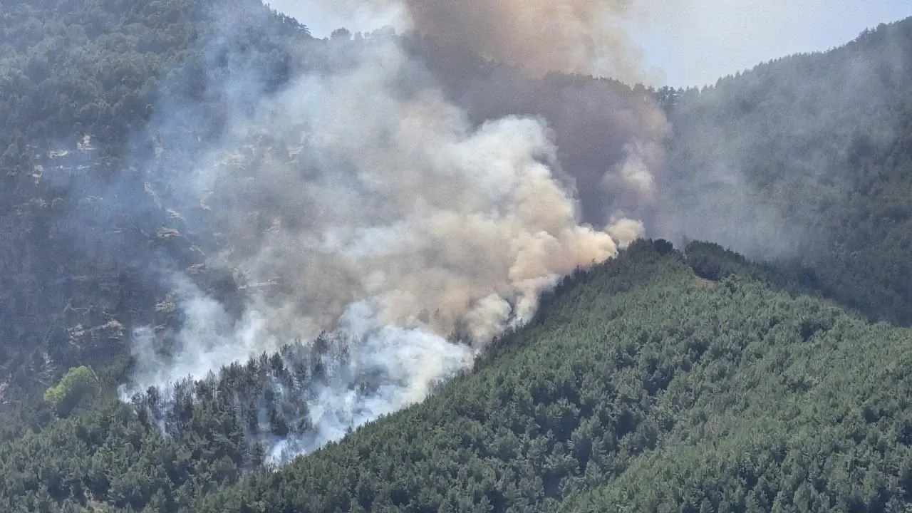 Muğla’daki orman yangınlarının yüzde 88’i insan kaynaklı – Birlik Haber Ajansı