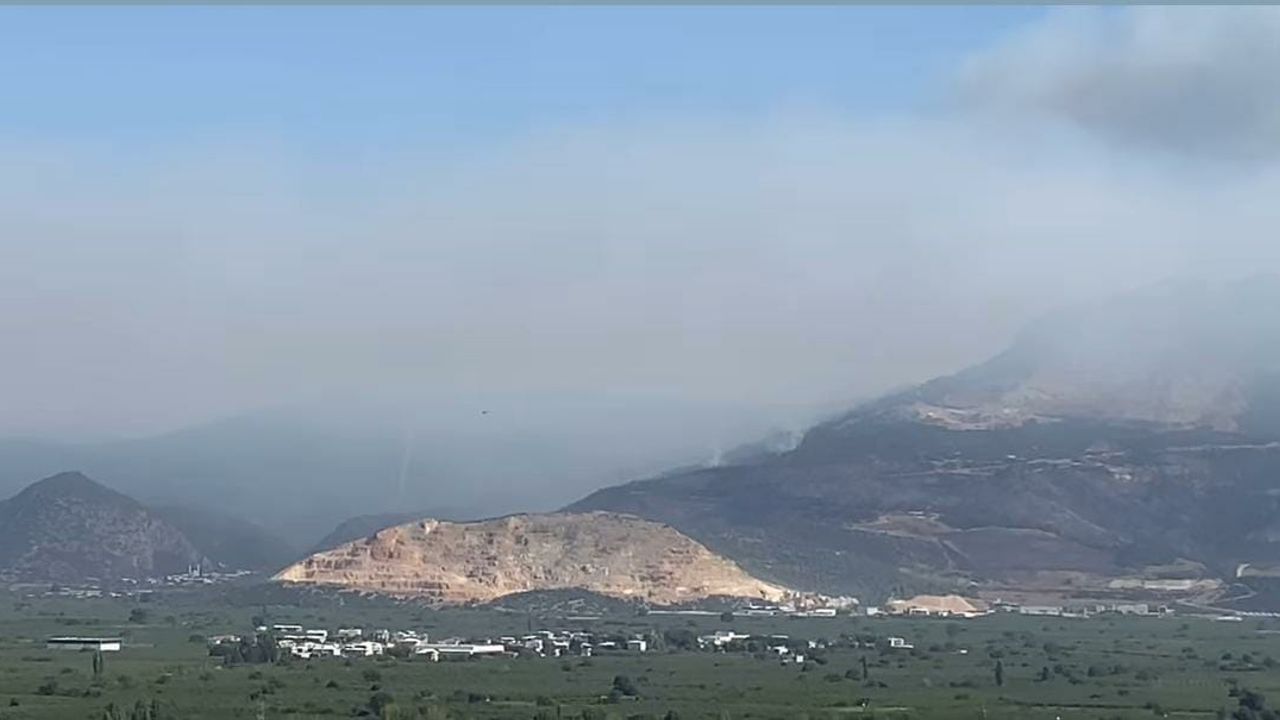 Bursa Gürsu’da orman yangınına hava ve kara desteğiyle yoğun müdahale – Birlik Haber Ajansı