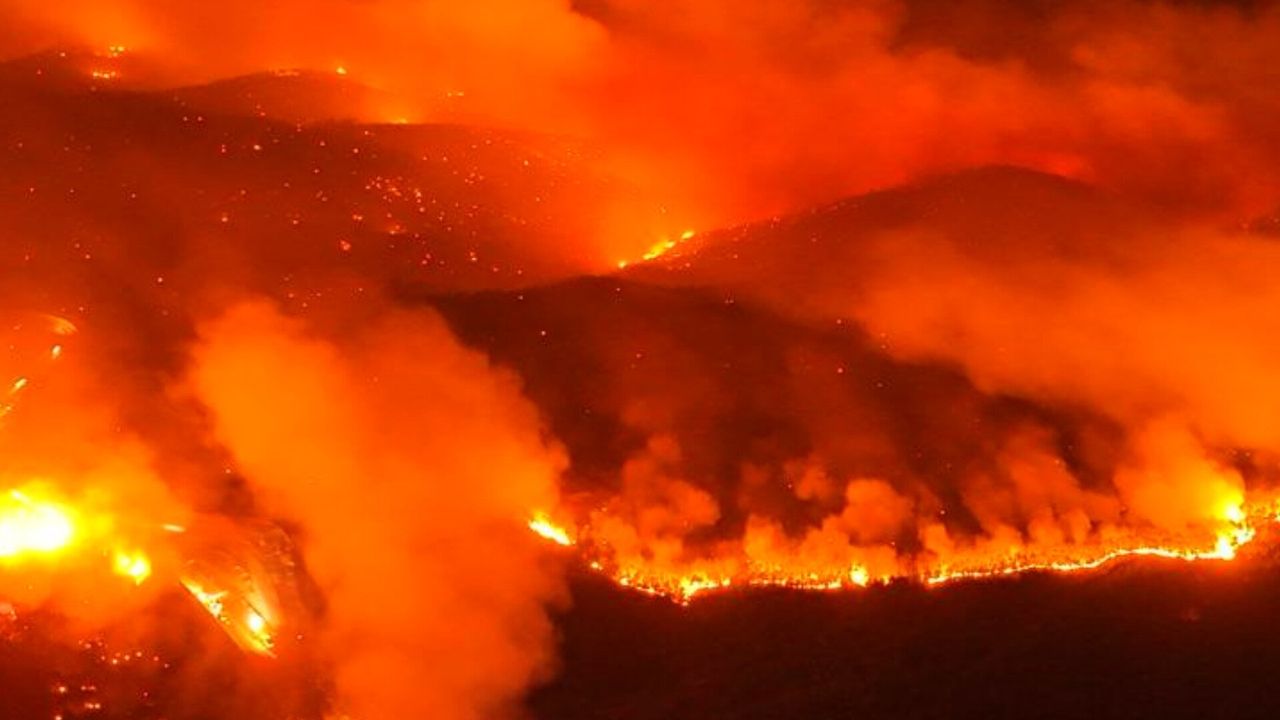 Bursa’daki orman yangını 4. gününde: Havadan ve karadan yoğun müdahale – Birlik Haber Ajansı