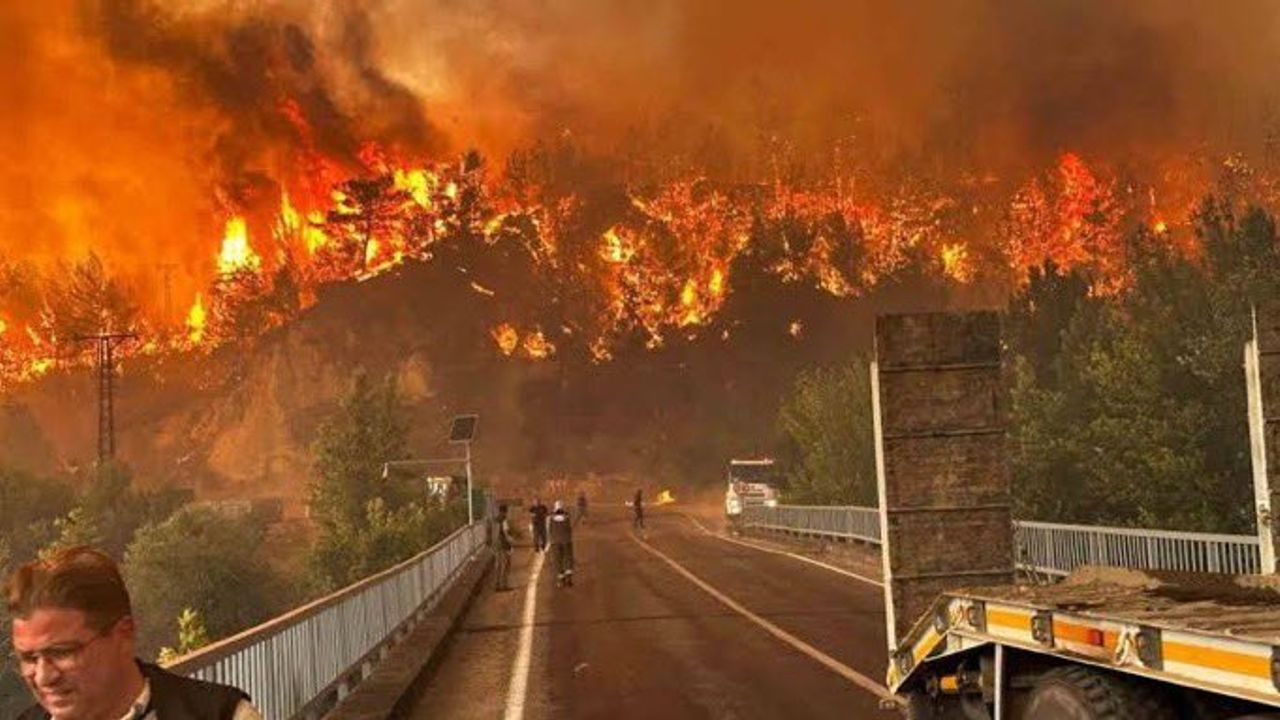 Bursa’daki orman yangını yeniden alevlendi: 1 itfaiyeci hayatını kaybetti – Birlik Haber Ajansı