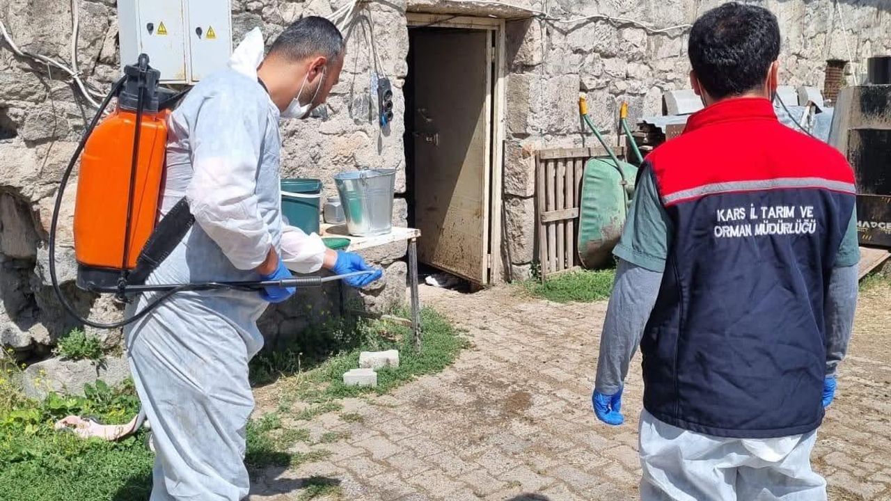 Kars’ta İlçe Tarım ve Orman Müdürlüğü ekipleri sahada: Yayıklı Köyü’nde dezenfeksiyon ve kontrol çalışması – Birlik Haber Ajansı