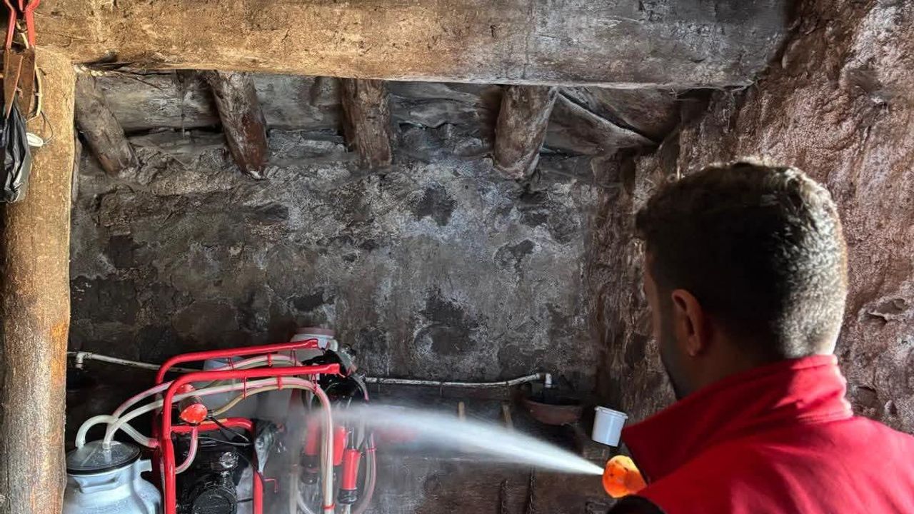 Susuz’da şap hastalığına karşı aşılama ve dezenfekte çalışmaları devam ediyor – Birlik Haber Ajansı