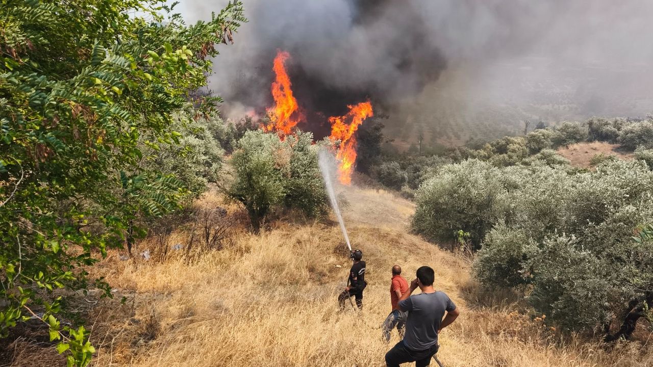 Orman gönüllülerine şehit statüsü getirildi – Birlik Haber Ajansı
