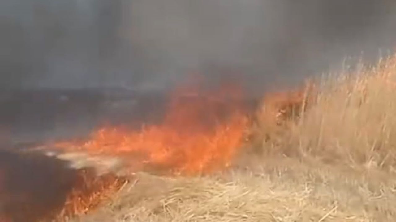 Beypazarı’nda anız ve sap yangını – Birlik Haber Ajansı