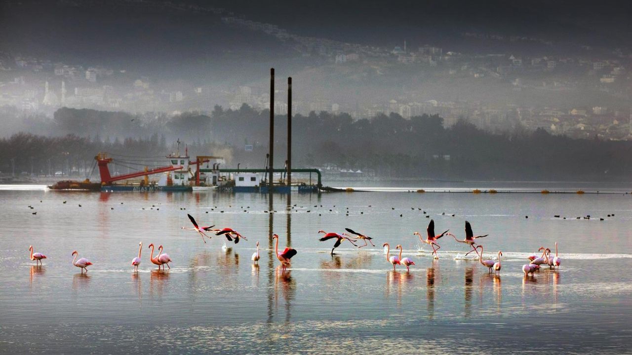Kocaeli Büyükşehir’in Dip Çamuru Projesi’nde 2. etap: 170 hektar alan dip çamurundan arındırıldı – Birlik Haber Ajansı