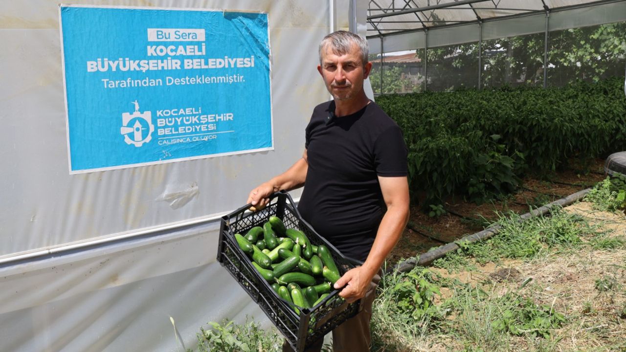 Modern seralarda hasat bereketi – Birlik Haber Ajansı