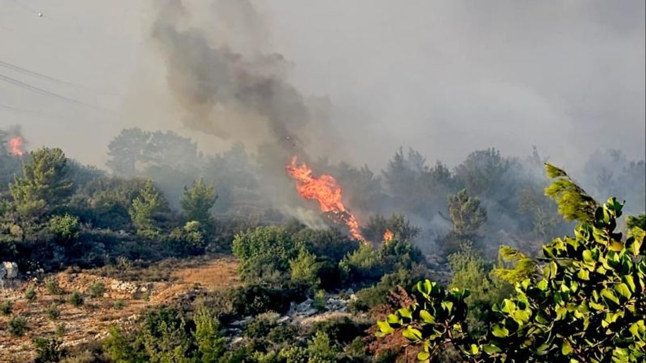 İzmir’de orman yangını: Bornova’da başlayan alevler Buca’ya sıçradı – Birlik Haber Ajansı