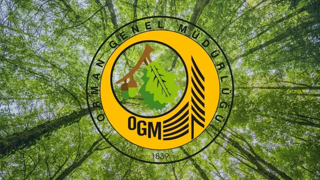 OGM: Orman yangını riski yükseldi, dikkatli olalım! – Birlik Haber Ajansı