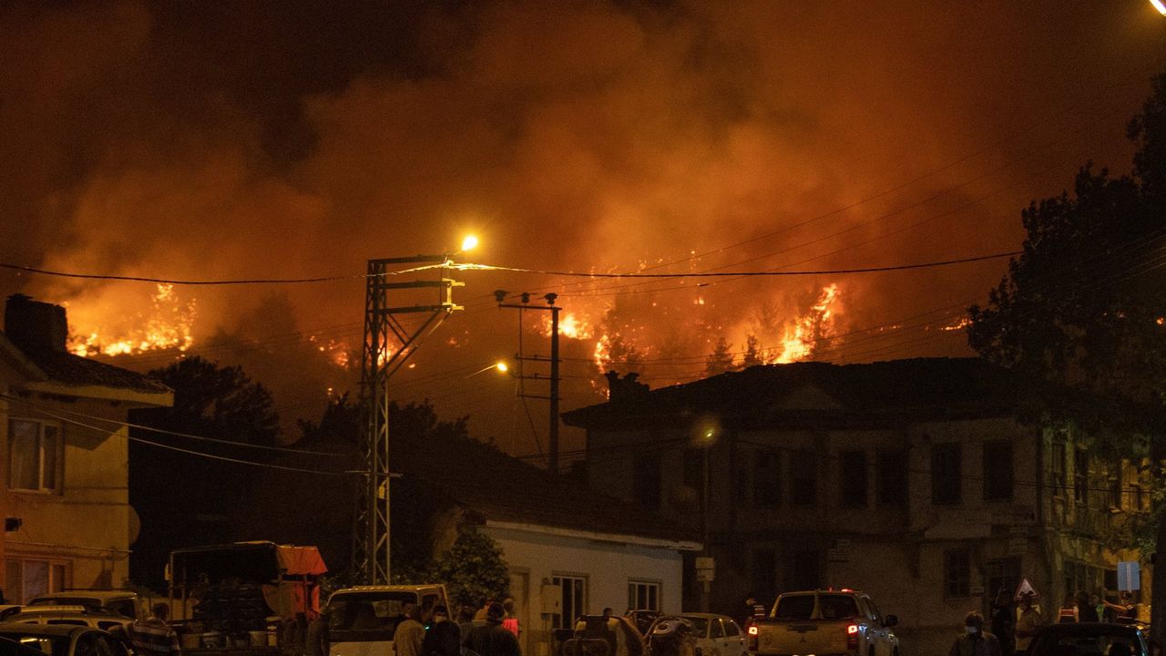 Sakarya’da başladı, Bilecik’e sıçradı: Yangın yeniden alevlendi – Birlik Haber Ajansı