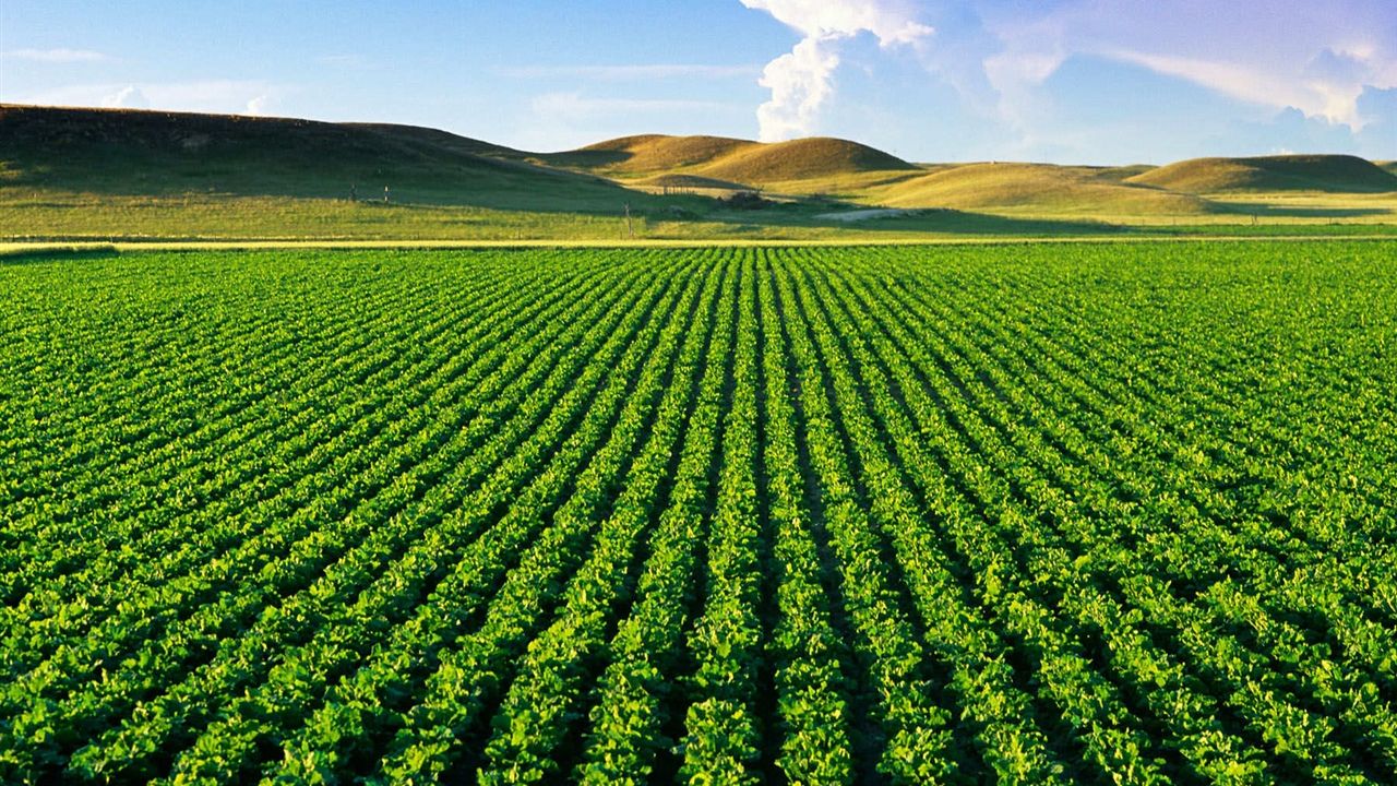 TÜİK’ten tarımda büyük veri hamlesi: Sayım seferberliği başladı – Birlik Haber Ajansı