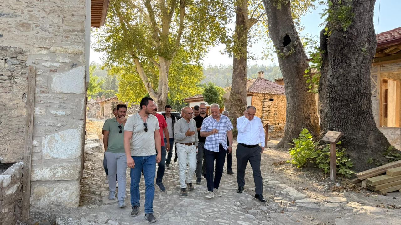 AK Parti Muğla Milletvekili Kadem Mete yangın bölgesinde – Birlik Haber Ajansı