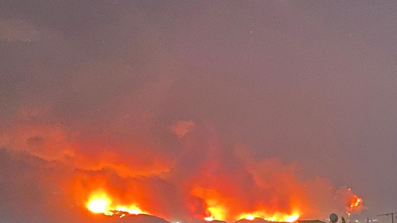 Bursa’da büyük orman yangını: Kül olan alanlar, yaralılar ve yaban hayatı katliamı – Birlik Haber Ajansı