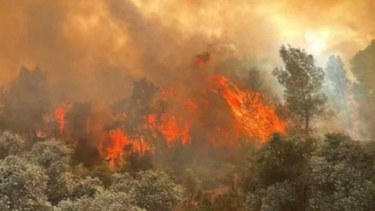 Son 15 günde yangınlarla ilgili 17 kişi tutuklandı – Birlik Haber Ajansı