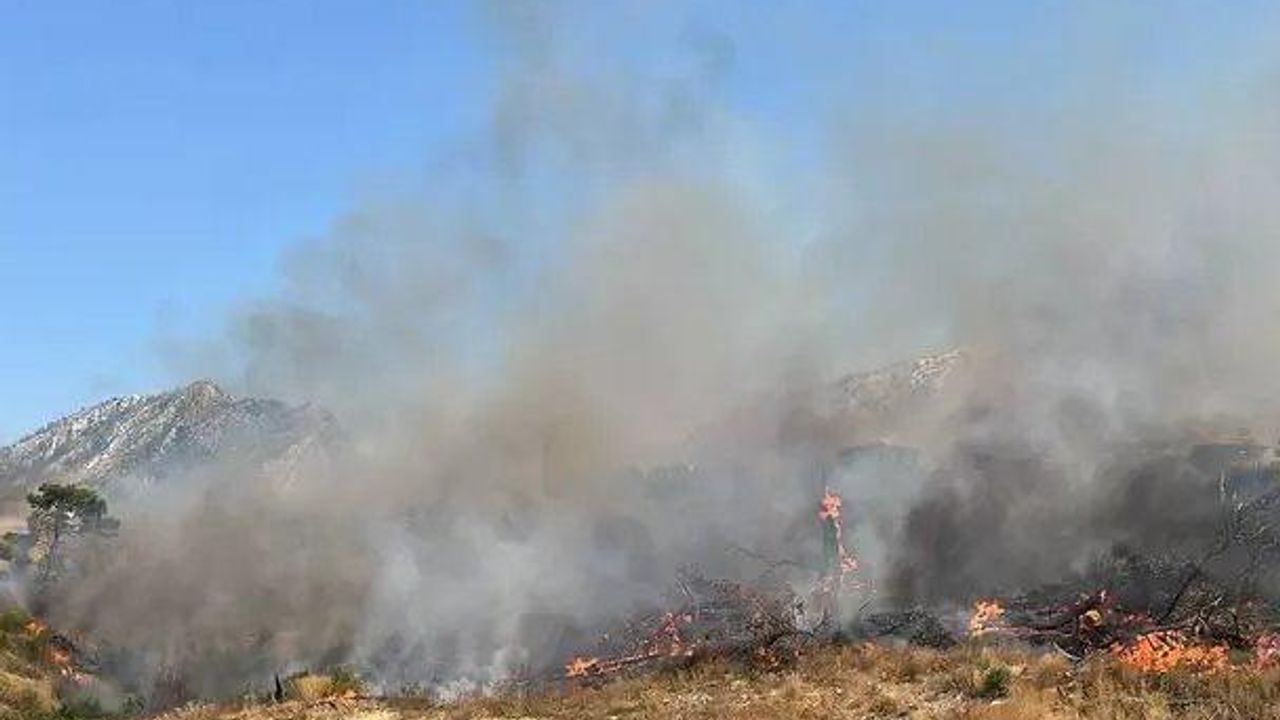 Akhisar’daki orman yangını 18 saat sonra kontrol altına alındı – Birlik Haber Ajansı