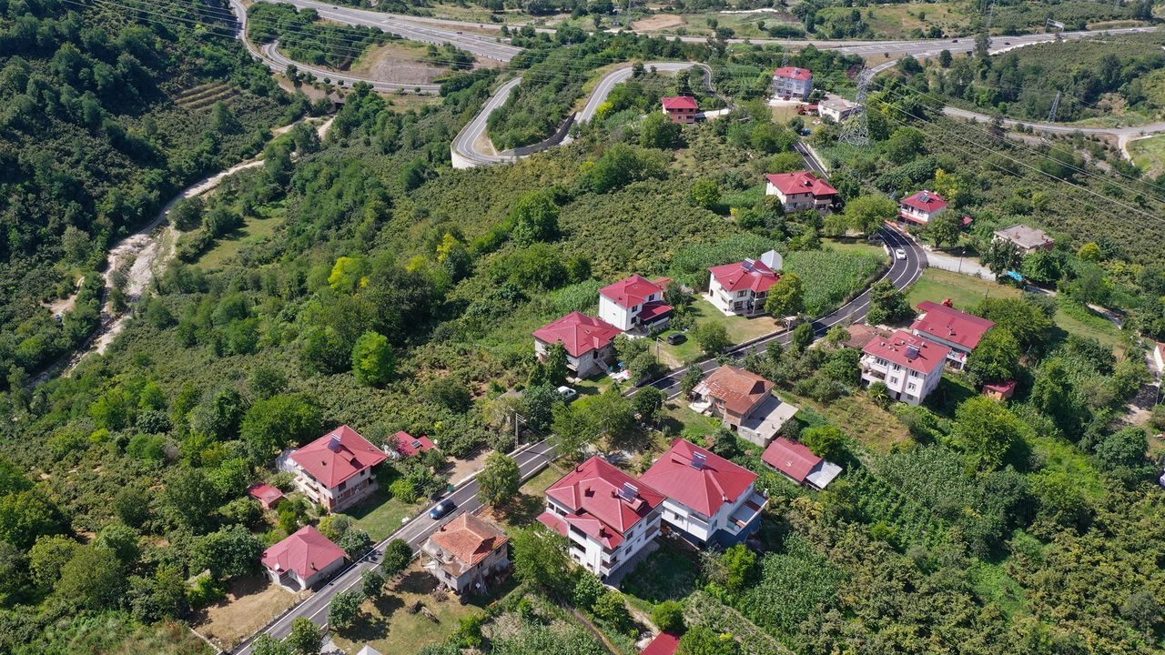Ordu’da asfalt seferberliği devam ediyor – Birlik Haber Ajansı
