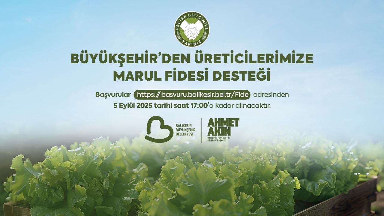 Balıkesir Büyükşehirden çiftçilere marul fidesi desteği – Birlik Haber Ajansı
