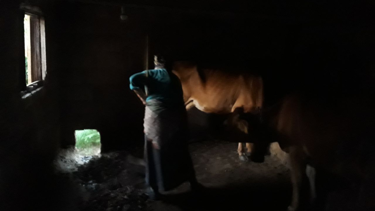 Karadeniz kadınının bitmeyen çilesi – Birlik Haber Ajansı