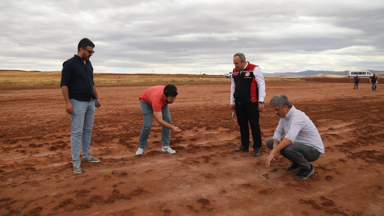 Delice’de tarımsal verim kaybı araştırılıyor – Birlik Haber Ajansı