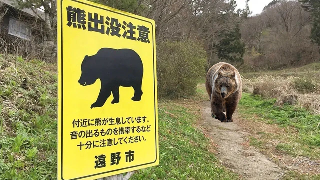 Japonya’da Belediyelere vahşi hayvanlara müdahale yetkisi – Birlik Haber Ajansı