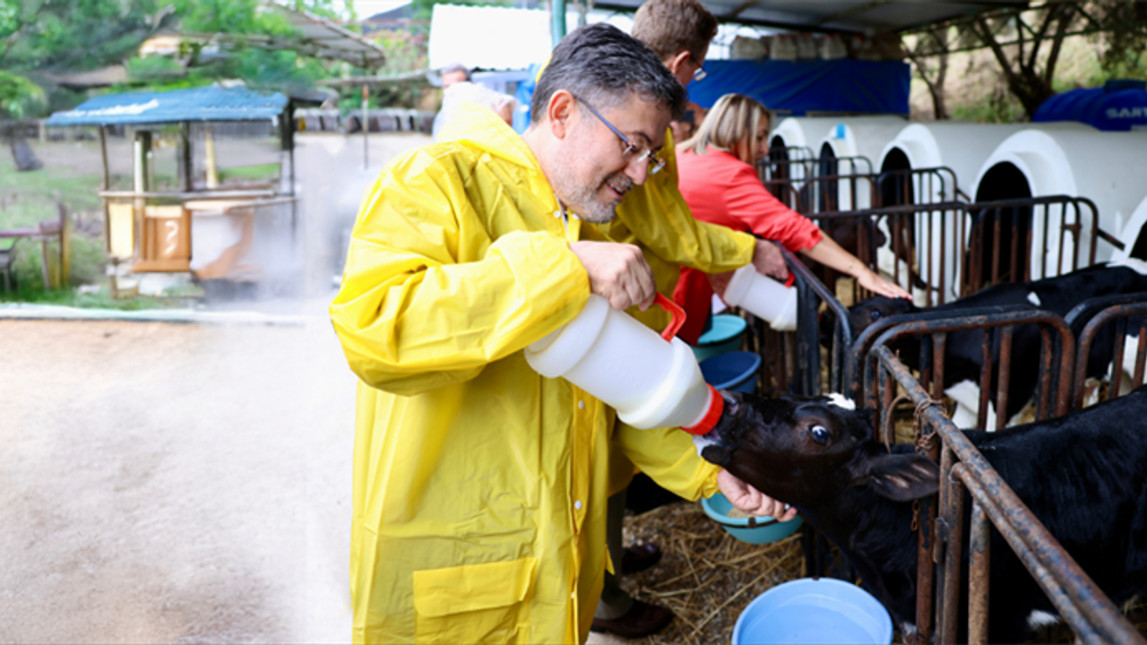 Türkiye’de Büyük ve Küçük Baş Hayvan Sayısı Açıklandı – Birlik Haber Ajansı