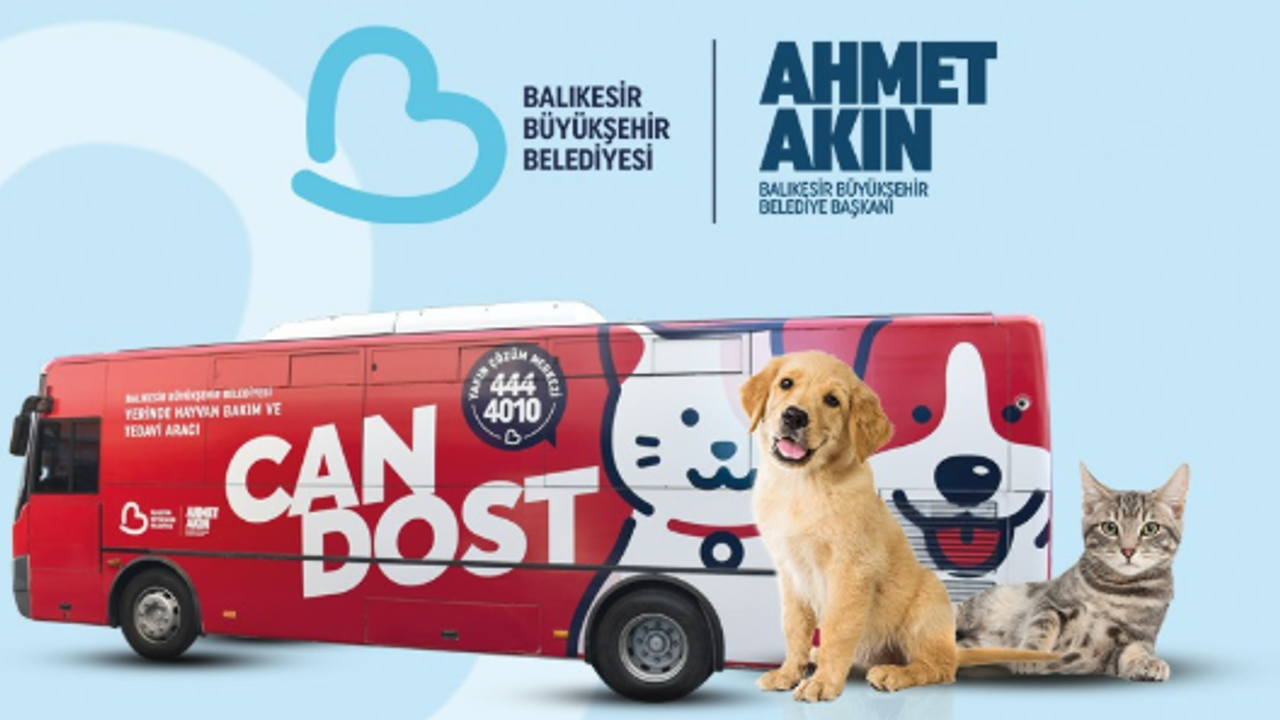 Can dostların bakım ve tedavileri tam gaz devam ediyor – Birlik Haber Ajansı