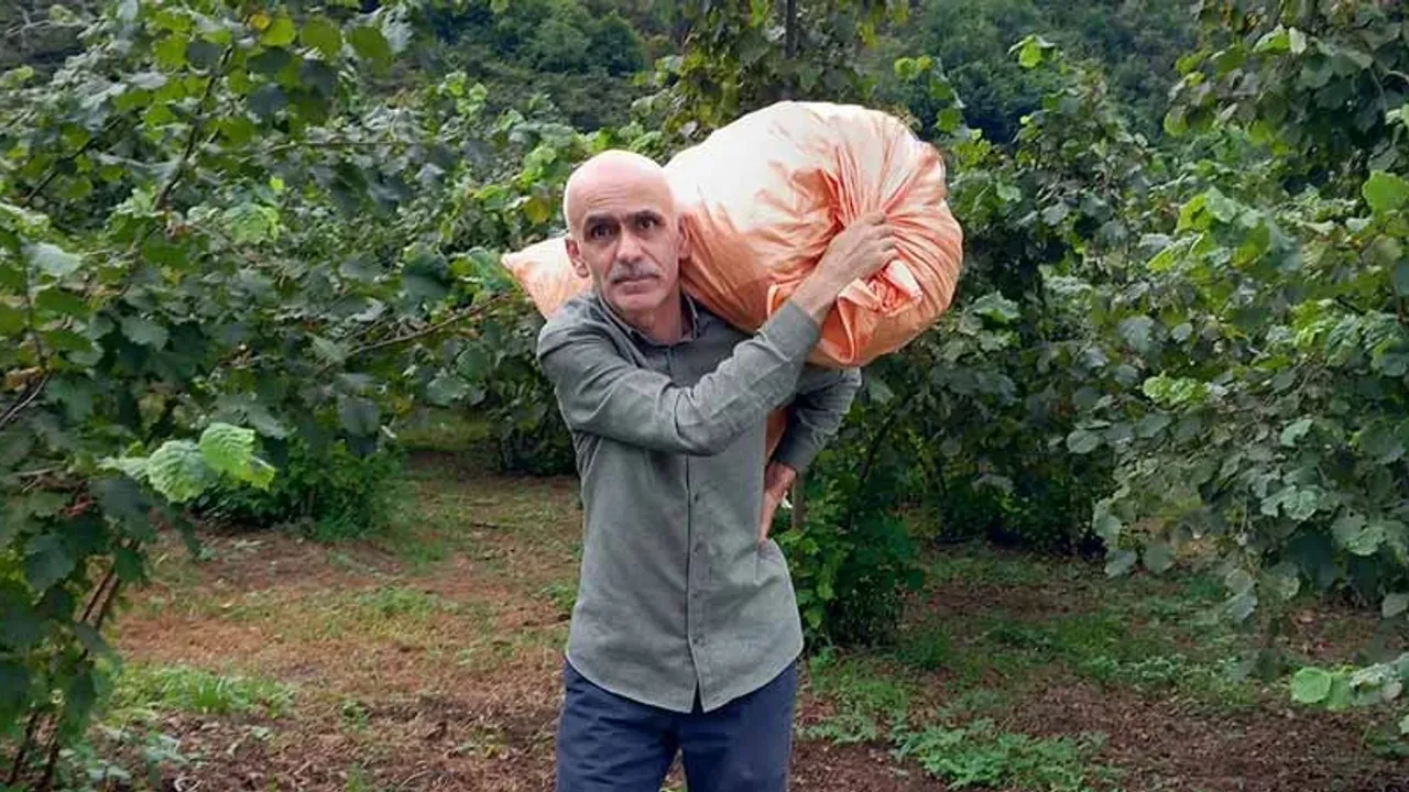 Fındık üreticisine kritik uyarı; İhtiyacınız yoksa satmayın – Birlik Haber Ajansı