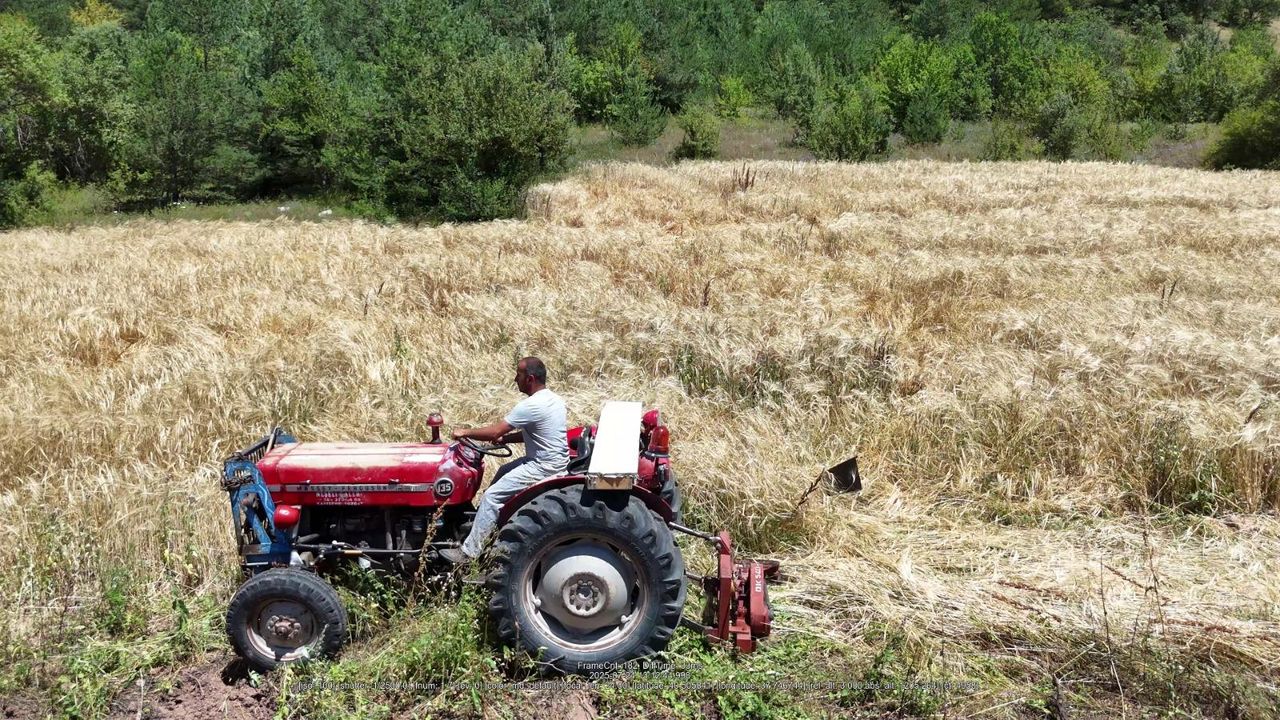 İstanbul’dan Ordu’ya uzanan çiftçilik öyküsü başarıya dönüştü – Birlik Haber Ajansı
