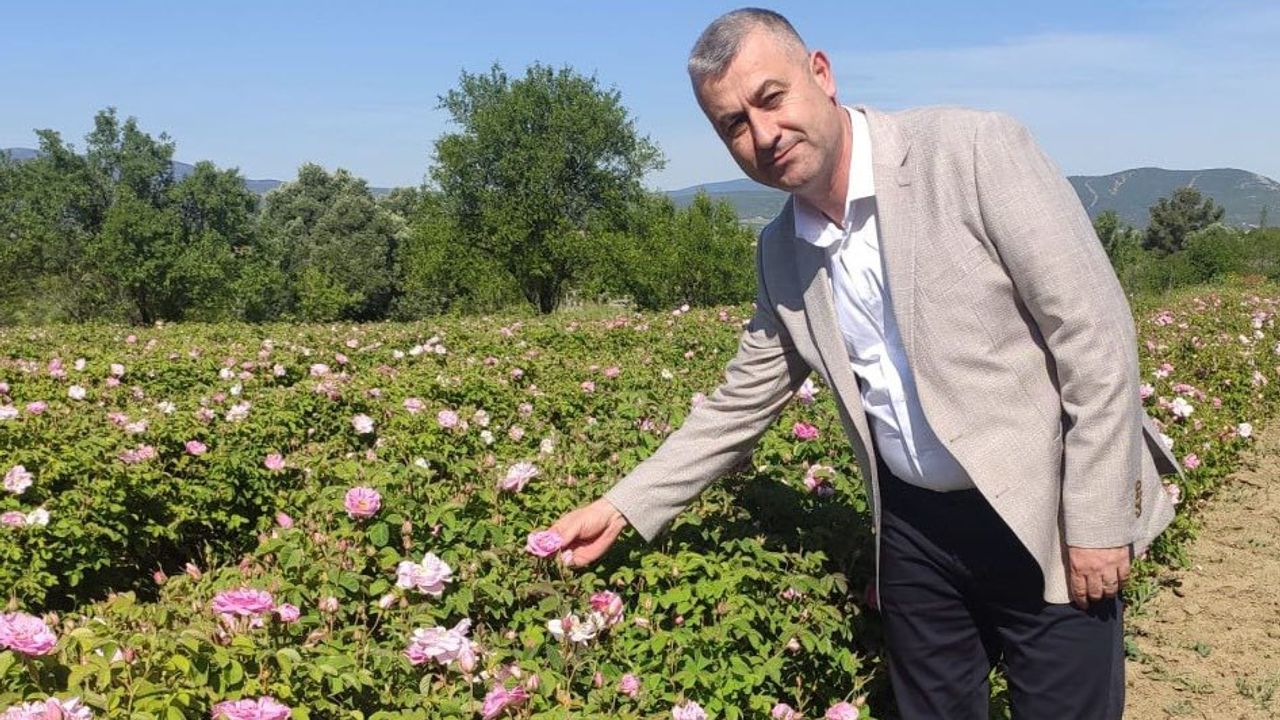 Gül üreticisinin meraklı bekleyişi sona erdi – Birlik Haber Ajansı