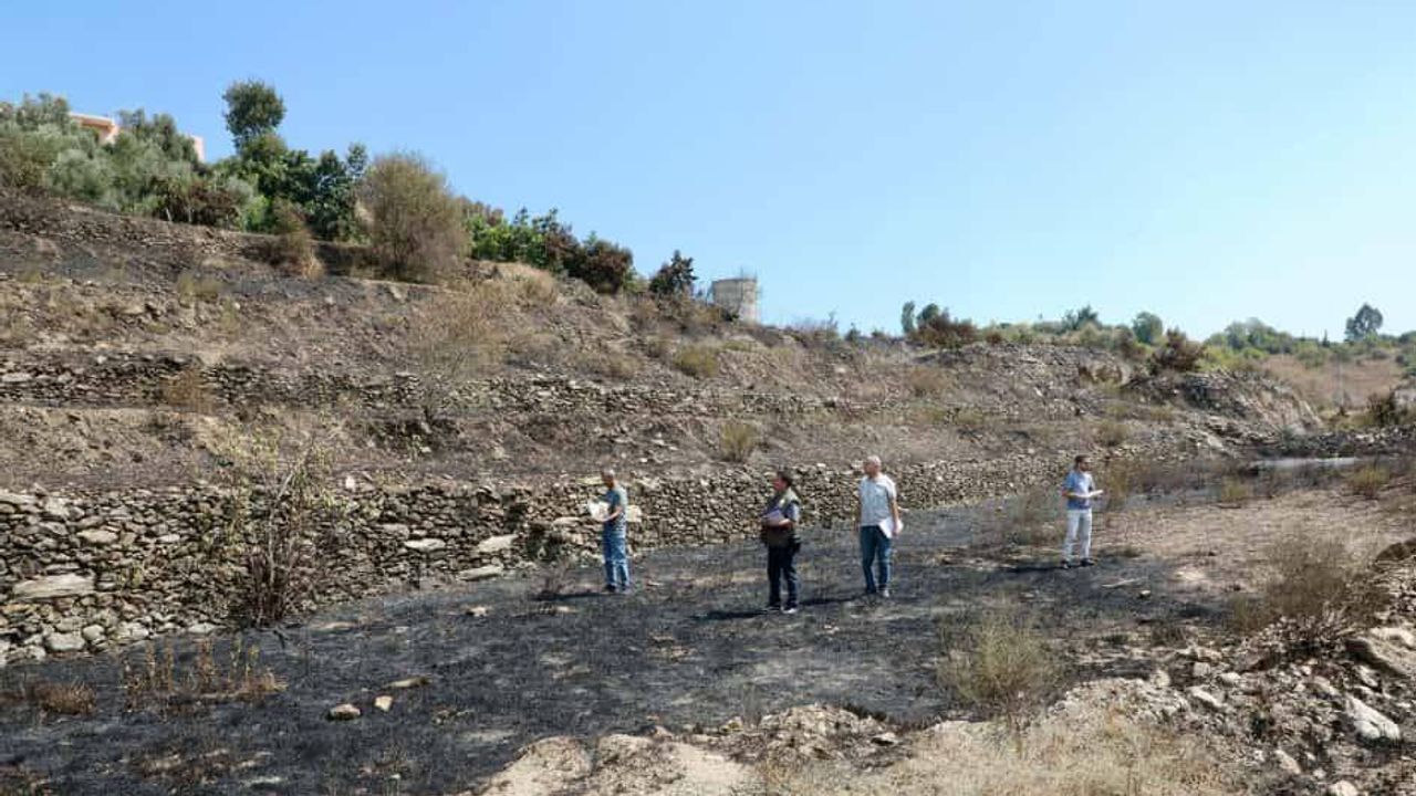 Alanya’daki yangınlar söndürüldü, hasar tespit çalışmaları başladı – Birlik Haber Ajansı