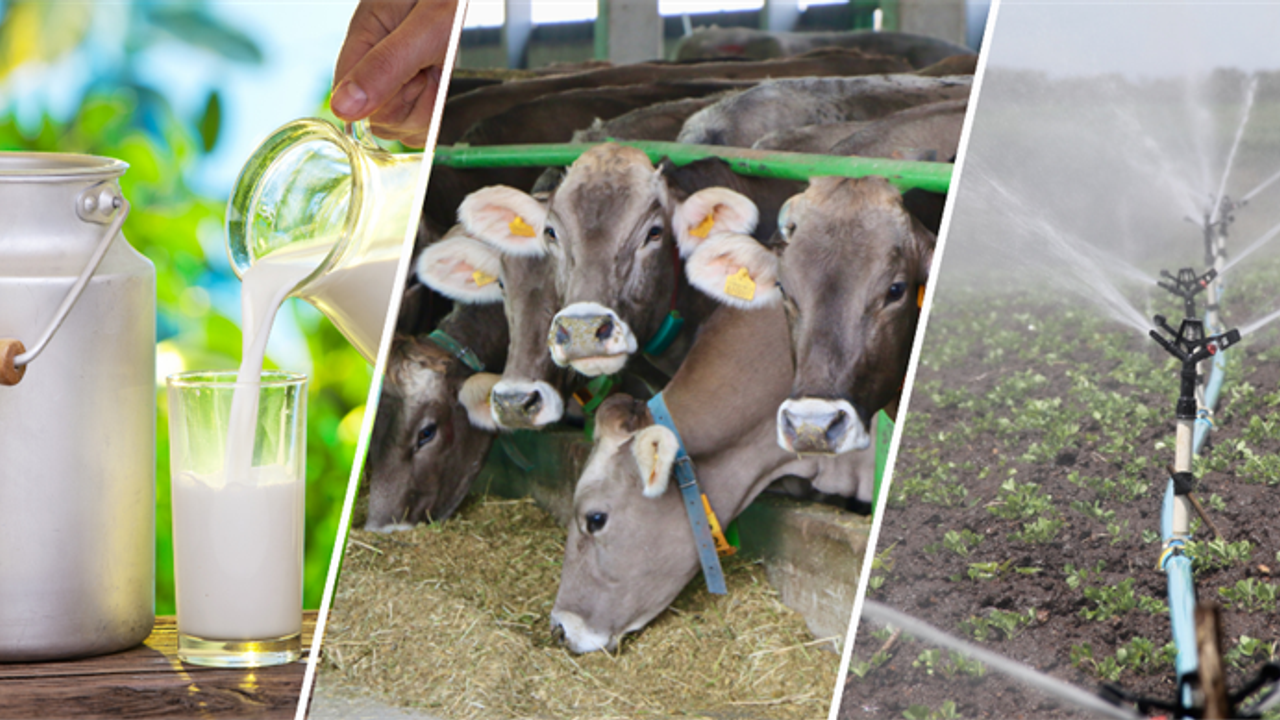 Tarımsal Destekleme Ödemeleri Hesaplara Yatmaya Başladı – Birlik Haber Ajansı