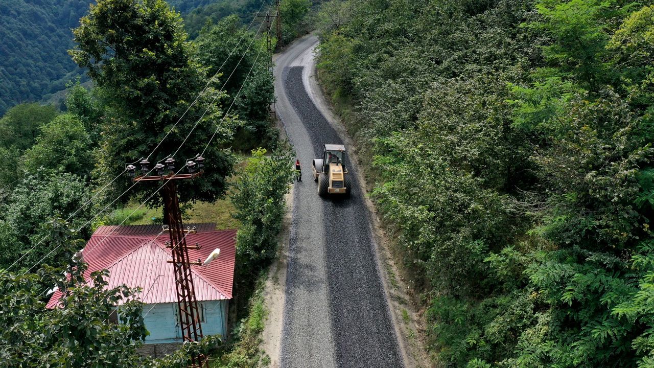 Ordu Ünye Pelitliyatak’ta mutlu son – Birlik Haber Ajansı